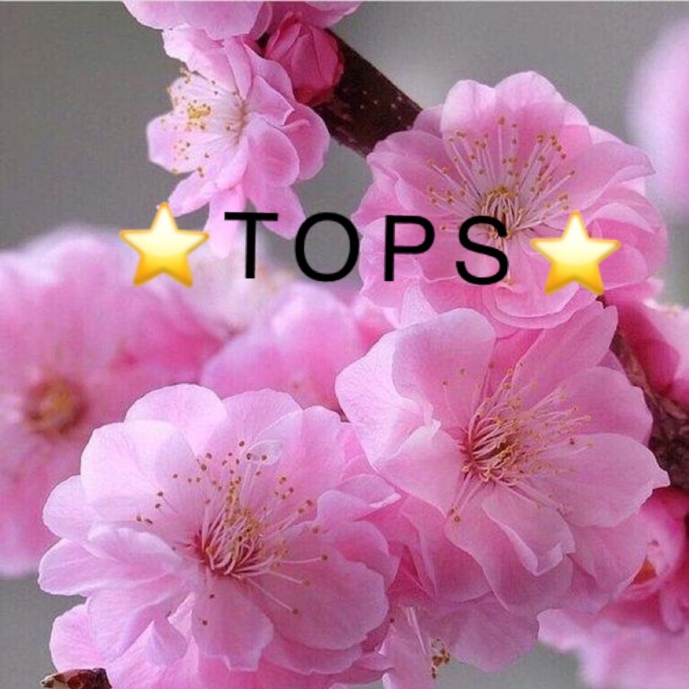 ⭐️TOPS⭐️